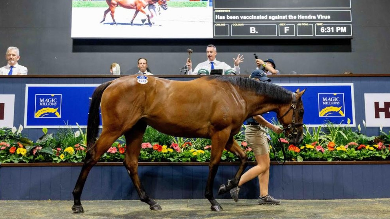 A record-breaking, $3.2m filly at the Magic Millions yearling sales on the Gold Coast. Picture: Luke Marsden Photos