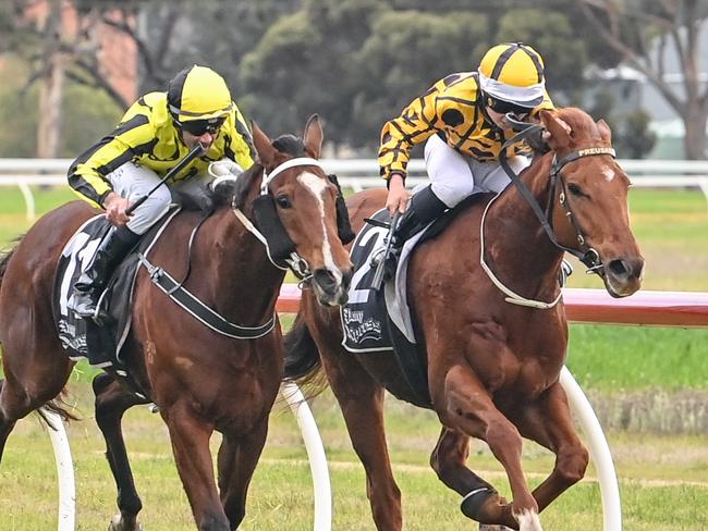 Gottanuff (right) ridden by Ryan Houston wins the Emmetts John Deere Maiden Plate at Warracknabeal Racecourse on June 30, 2023 in Warracknabeal, Australia. Picture: Alice Miles/Racing Photos