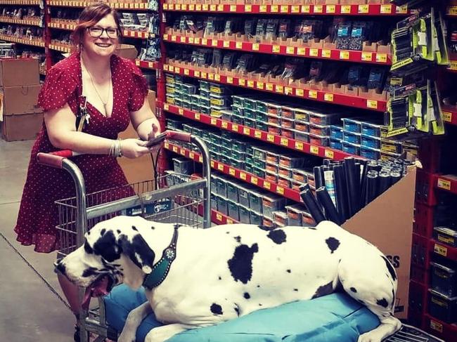 Nicole Brandon and Baxter on a day out at Bunnings. Picture: Supplied