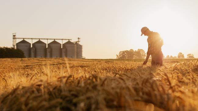 Nufarm’s Seed Technologies sells seeds for crops such as canola.