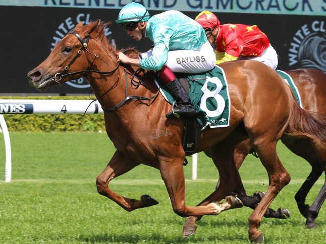 Platinum Jubilee was impressive winning the Gimcrack Stakes at Randwick on debut. Picture: Grant Guy