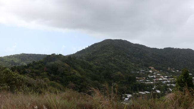 The Green Arrow walking trail that runs from the top of Bel Air Drive looking to the summit of Mt Whitfield.