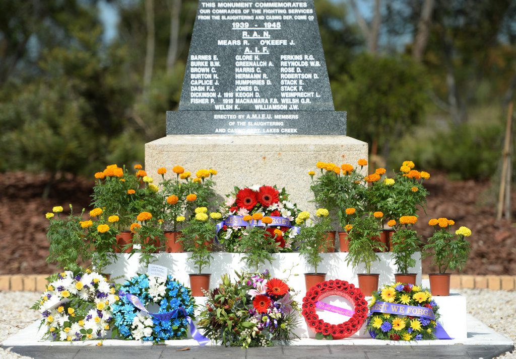 Stenhouse Park Anzac Service | The Chronicle