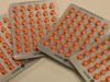 Cheap supermarket drug may help treat cancer