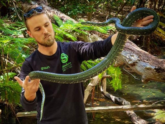 Shaun Armstrong from Shoalhaven Snake Catchers.