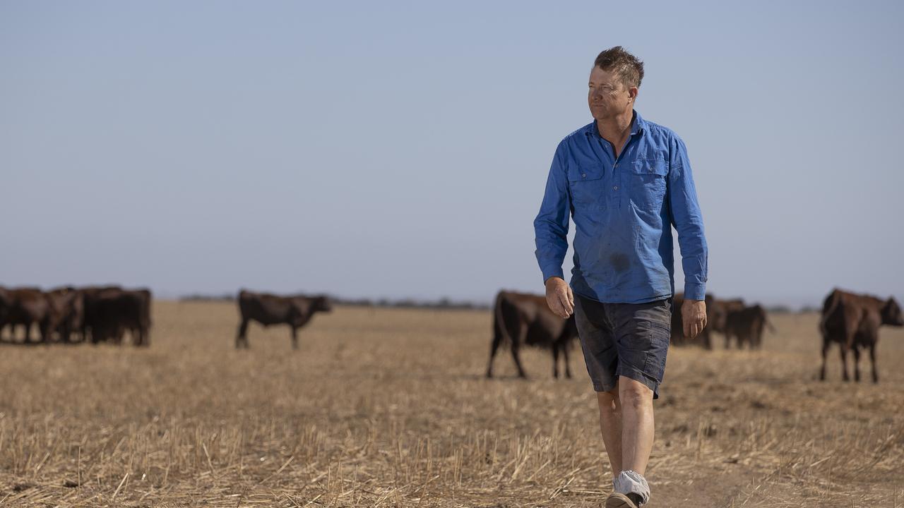 Farmer Peter Wilson on the Yorke Peninsula. Picture: Brett Hartwig