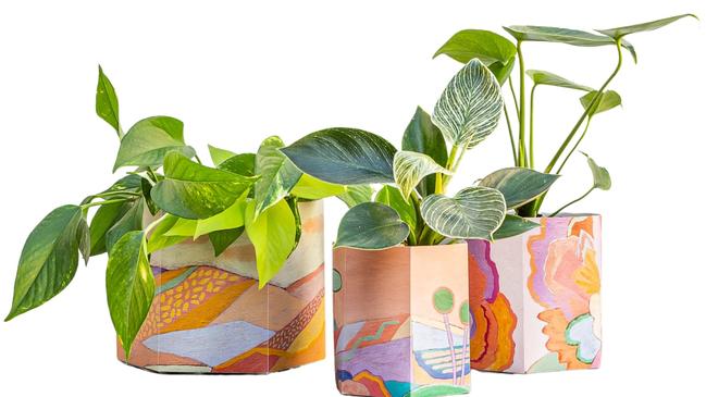 Pop up pots