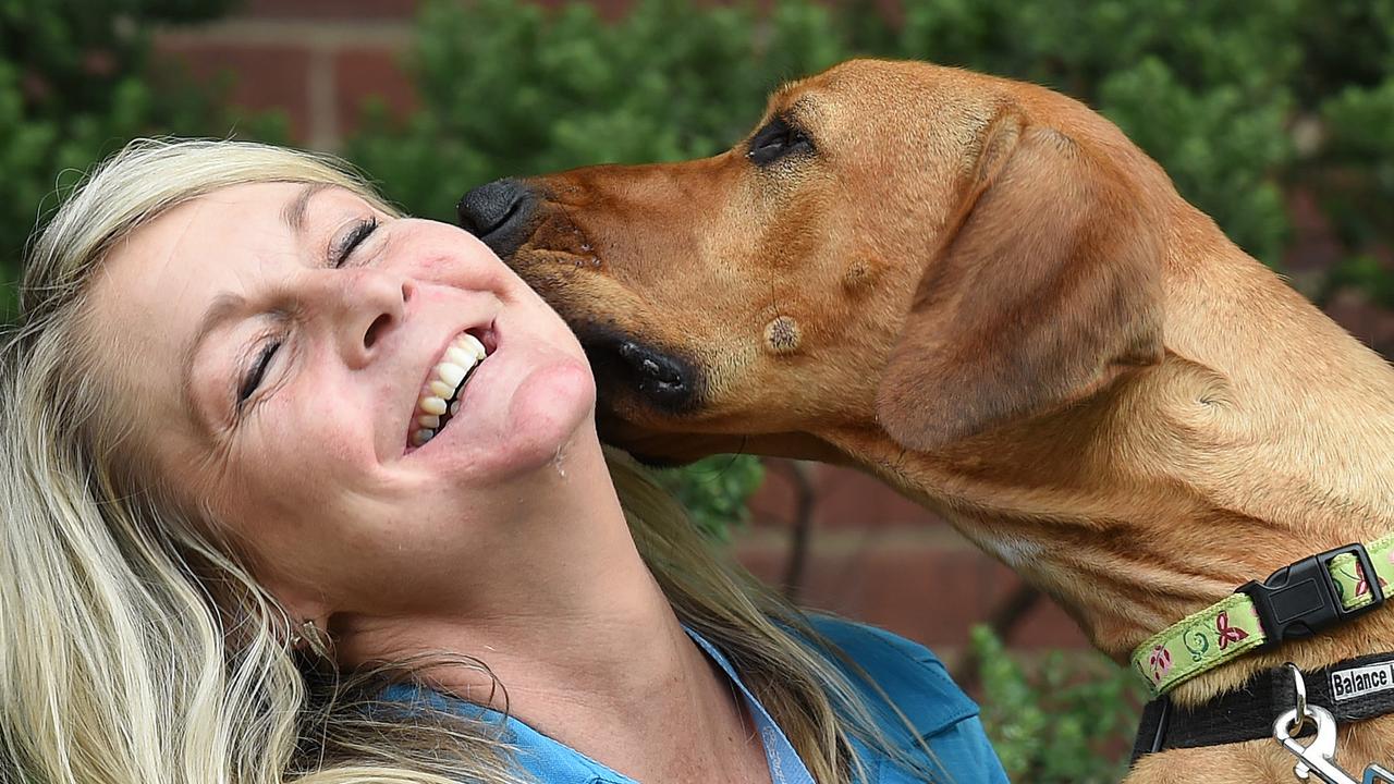 Lost Dogs Home: Leader goes behind the scenes | Herald Sun