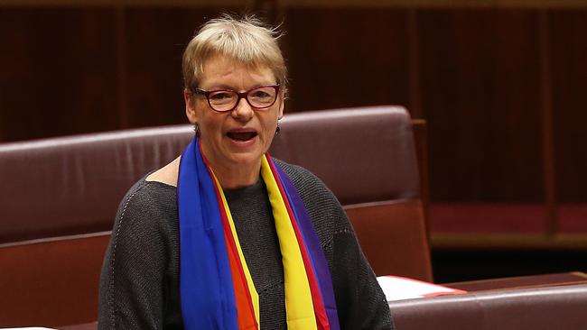 Greens Senator Janet Rice. Picture: Kym Smith