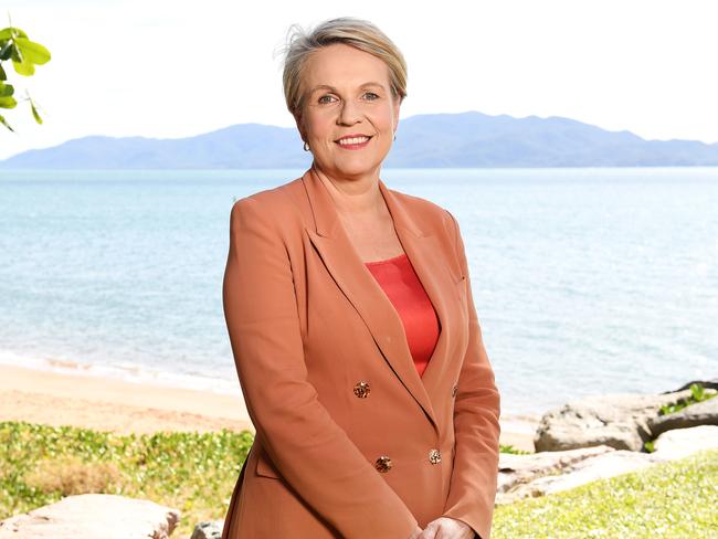 Minister for the Environment and Water Tanya Plibersek. Picture: Shae Beplate.