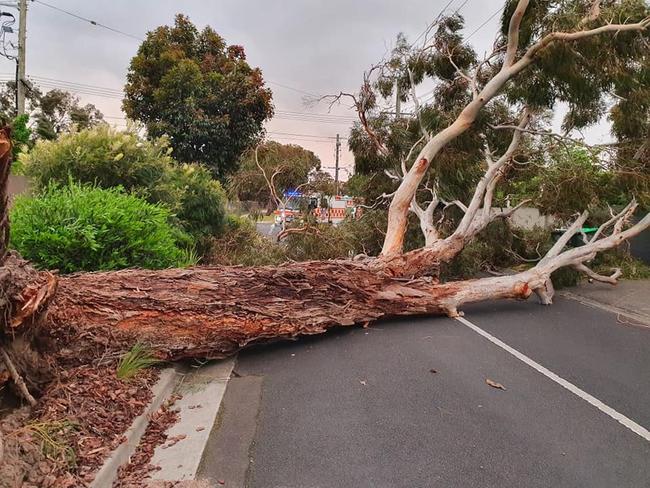 Moorabbin SES captures the storm damage on Friday morning. Picture: Facebook