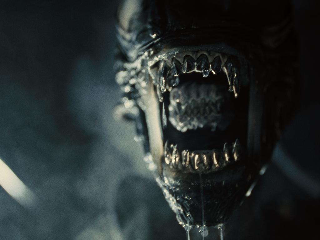 The Xenomorph in the truly terrifying new addition to the Alien canon, Alien: Romulus. Picture: 20th Century Studios