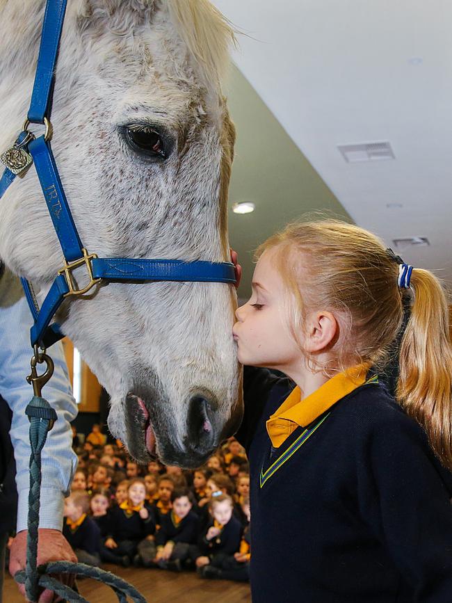 1992 Melbourne Cup winner Subzero at St Raphaels Primary School in West Preston to educate kids on horse health and safety. Prep student Evie gives Subzero a kiss. Picture: Ian Currie