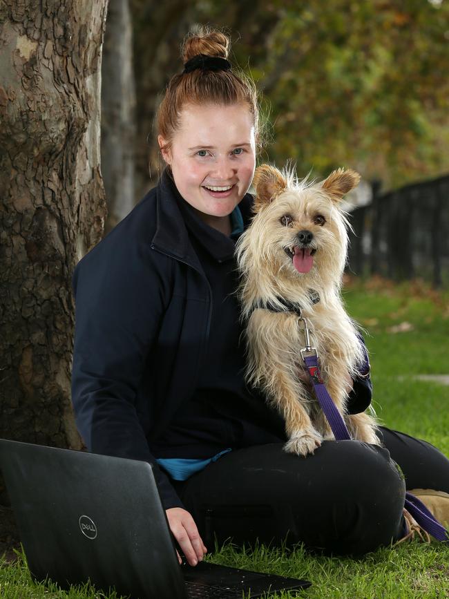 The Lost Dogs' Home’s Jade Currie with terrier cross Reginald. Picture: George Salpigtidis