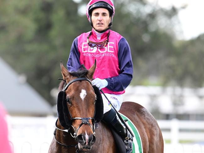 Godfather carrying the colours of Edge Thoroughbreds. Picture: Grant Peters/Trackside Photography