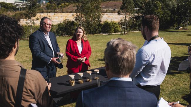 President of the Ipswich Region Chamber of Commerce Phillip Bell says government infrastructure investment in the region did not reflect or supports Ipswich’s economic contribution. Photo: Supplied