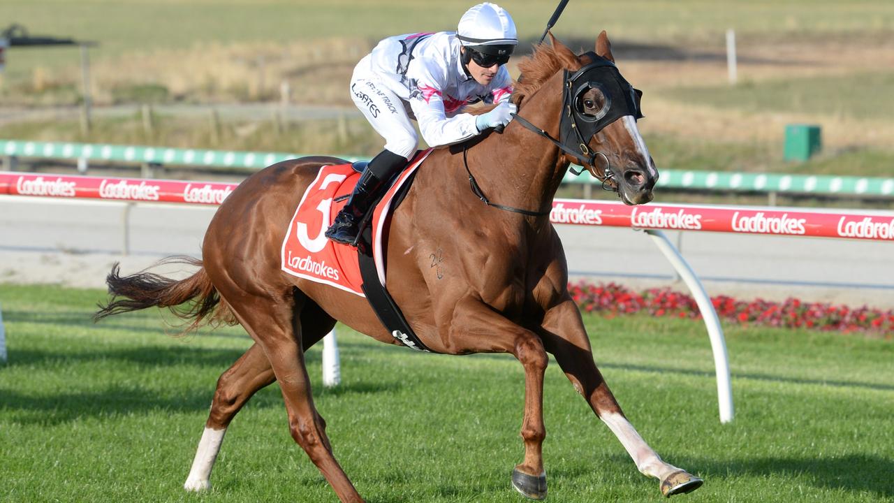 Gilbert Gardiner thinks Stupendous can get punters off to a winning start in the first race at Caulfield Heath on Thursday. Picture: Ross Holburt / Racing Photos