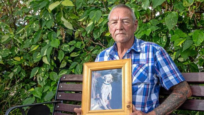 HEARTBROKEN: Gatton retiree Rob Norton holds a picture of his dog B, who was tragically killed at a kneel while Mr Norton was on holidays. Picture: Dominic Elsome