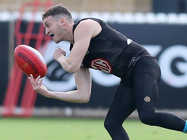 Why two Power stars are playing SANFL