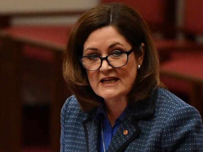 Liberal Senator Sarah Henderson makes her first speech in the Senate chamber at Parliament House in Canberra, Wednesday, October 16, 2019. (AAP Image/Mick Tsikas) NO ARCHIVING