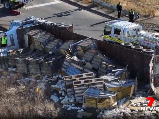 Chicken truck rollover north of Adelaide , 9 April 2023 . Picture: 7NEWS