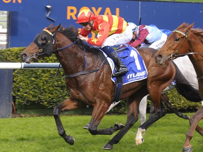 Trainer Sara Ryan has worked hard to get Matcha Latte back to the track following a tendon injury. Picture: Bradley Photos