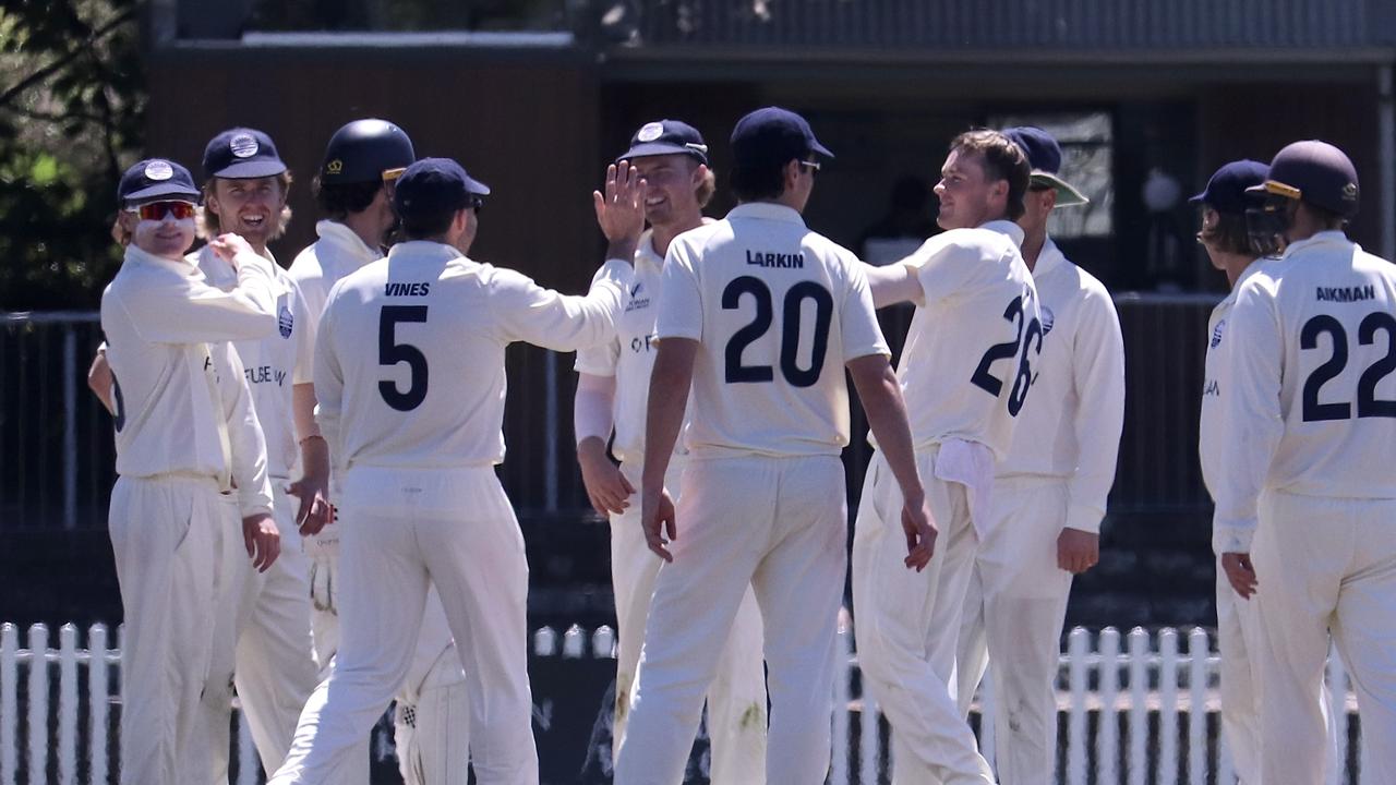 Geelong celebrate a wicket against Camberwell. Picture: Carey Neate.