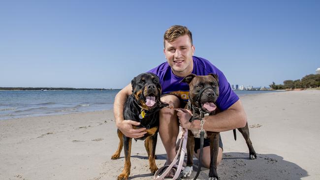 Jai Arrow apologised after his dog Thor (right) attacked a small dog in Bronte. Picture: Jerad Williams