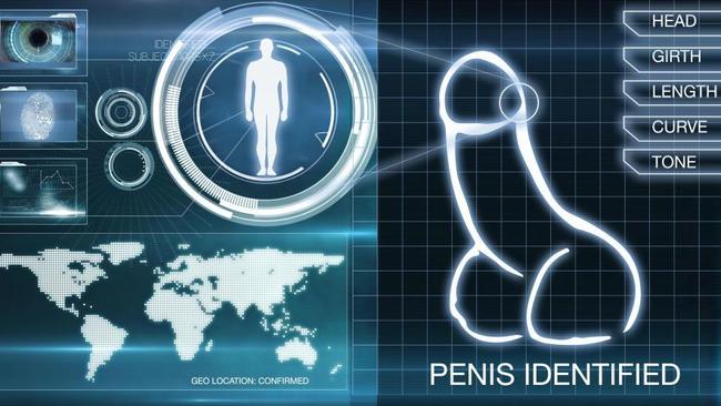 An ‘official’ picture of the penis recognition tech.