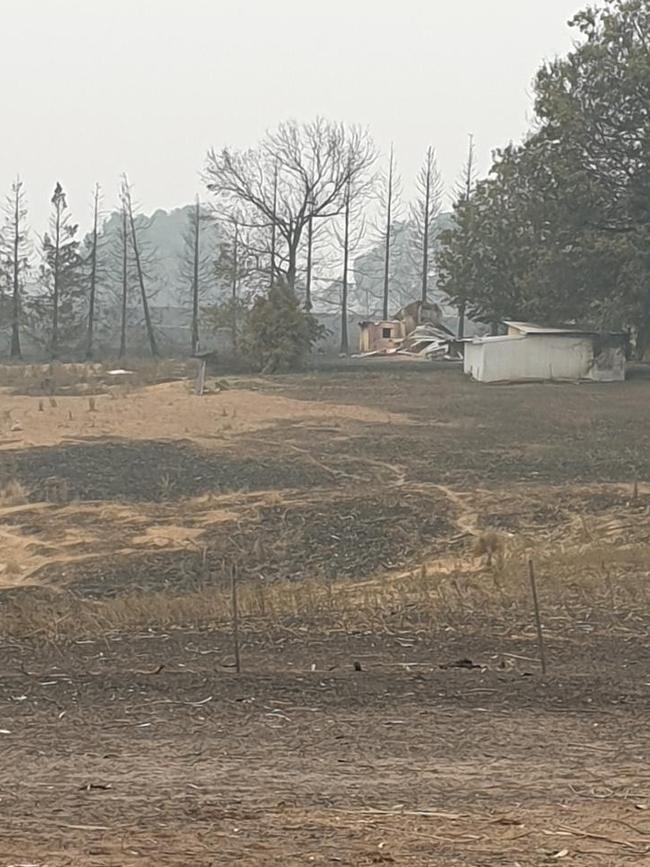 Supplied image of Springfield Orchard in Batlow destroyed by Bushfires. Picture: Supplied