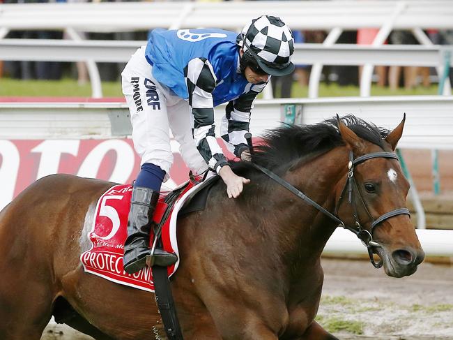 Racing - Melbourne Cup Day Picture:Wayne Ludbey Protectionist ridden by Ryan Moore wins #jubo