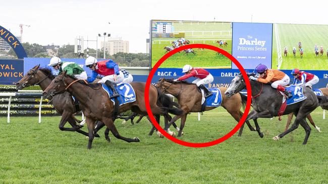 Gun young jockey Zac Lloyd believes More Territories has strong claims in Saturday's Tea Rose Stakes on her last-start fifth behind Manaal and Ameena. Picture: Bradley Photos