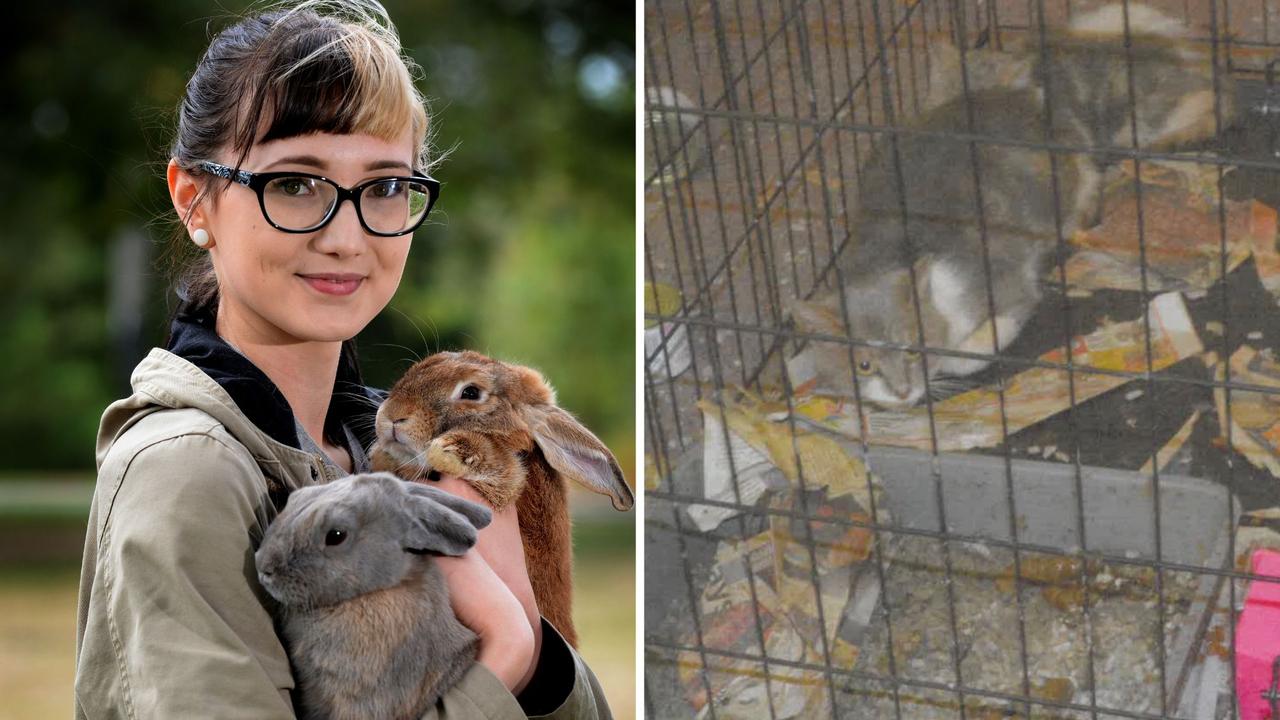 Vegan animal rights activist caught keeping dogs, cats in poo-filled cages