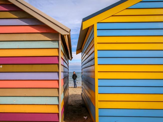 02/06/2019 - Stuck in the middle!  Winter walks along Brighton Beach and the bathing boxes. Picture: Ms. Sarah Thom