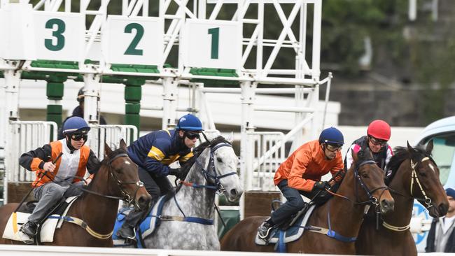 Chautauqua (grey) will be given one last chance to show he’s ready to return to the track. Picture: Getty Images