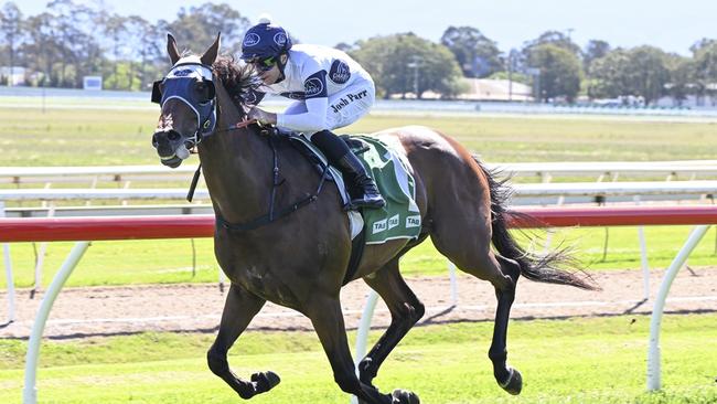 Fleet Commander can sail to another victory when he heads to Randwick-Kensington. Picture: Bradley Photos