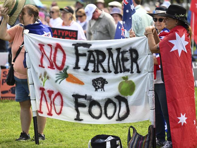 Some people travelled as far as 2000km to attend the rally in Canberra. Picture: Martin Ollman