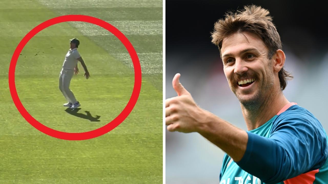 Mitch Marsh was on fire. Photo: AFP and Twitter, @Lachy_Steele.