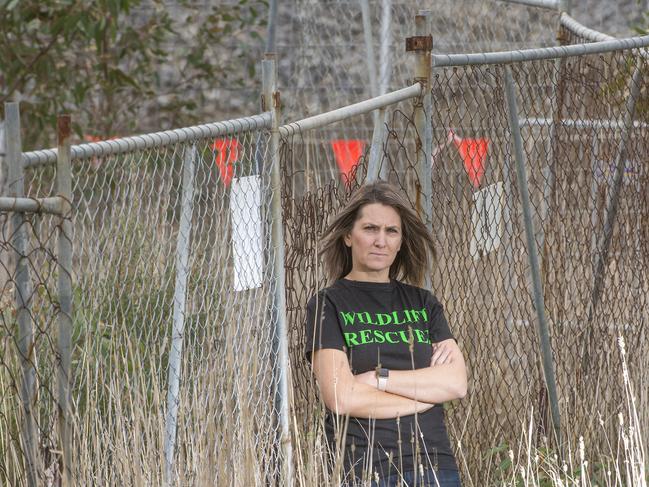 Whittlesea wildlife rescuer Krysti Severi.