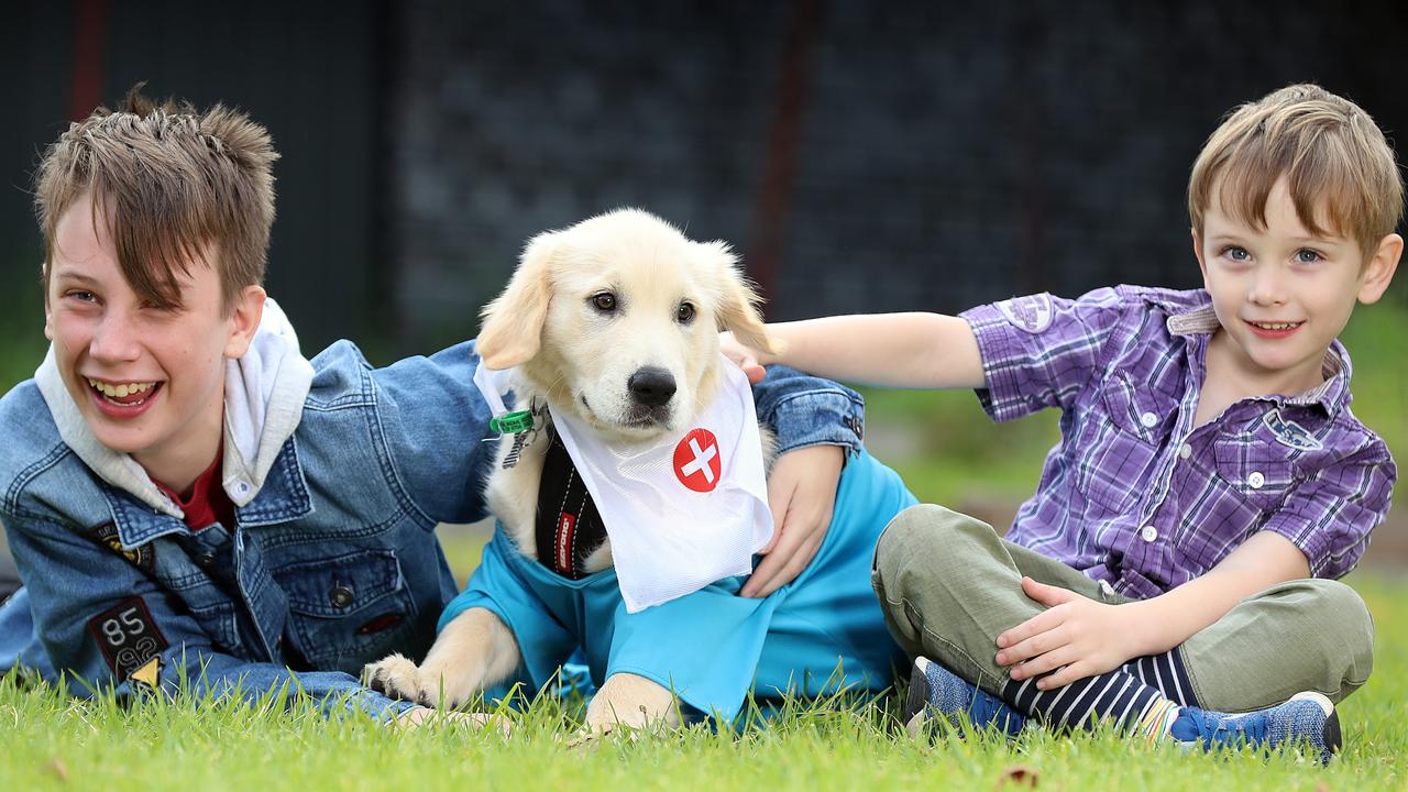 Family needs help to pay for a Smart Pups autism assistance dog | news ...