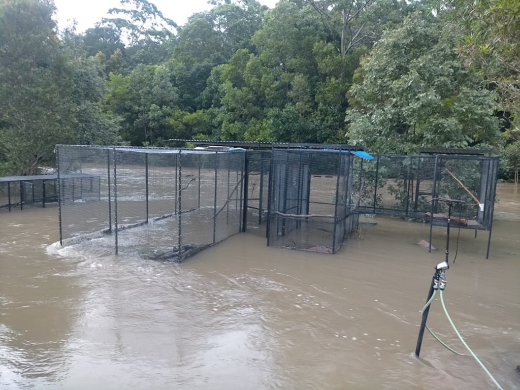 Paige Hinds was woken at 6am to find her aviaries filled with waist-deep water and a river running through her Lake McDonald yard. Picture; Paige Hinds