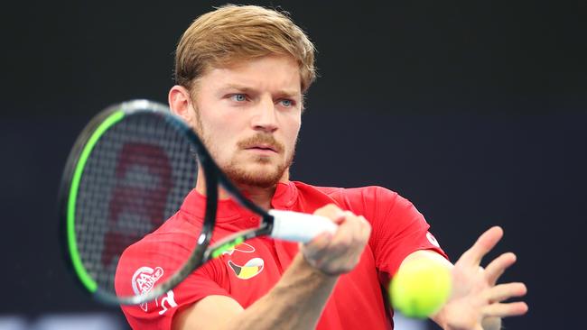 David Goffin comfortably won his match against Radu Albot. Picture: Getty Images