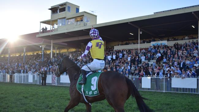 Ben Looker wins the 2019 Grafton Cup aboard Sacred Day.