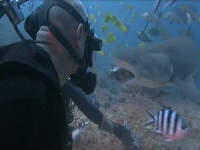 Paul de Gelder swimming with bull sharks in Fiji  after the attack. Picture: Channel 9/60 Minutes