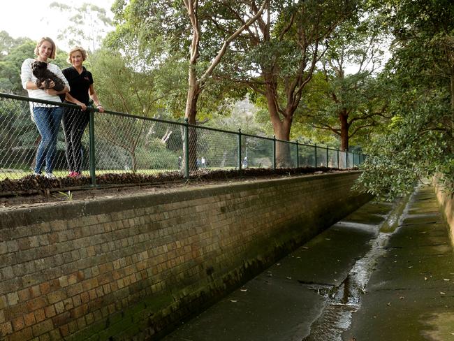 Louise Anderson and her family’s dog Bo with dog walker Phillippa Taylor, who found Bo in this deep stormwater channel at Reid Park, Mosman. Picture: Troy Snook