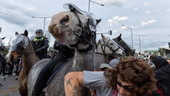 Protesters clash with mounted police in Melbourne on Wednesday.