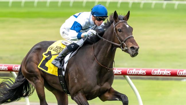 El Patroness is first emergency in the Group 1 Turnbull Stakes. Picture: Jay Town/Racing Photos via Getty Images