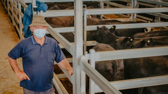 Producer Paul Sheedy, who sold heifers. Picture: Madeleine Stuchbery