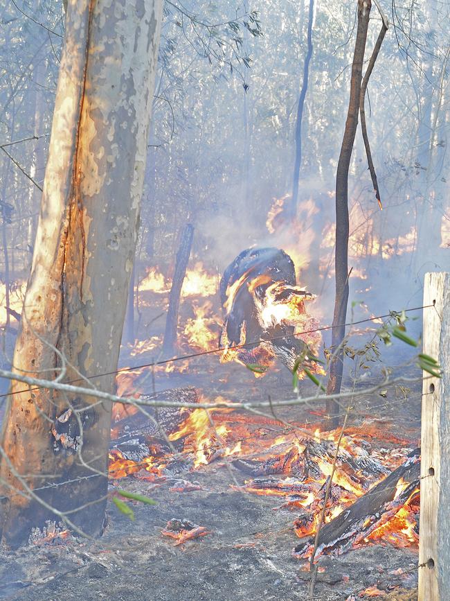 An out of control bushfire at Whiteman Creek west of Grafton.