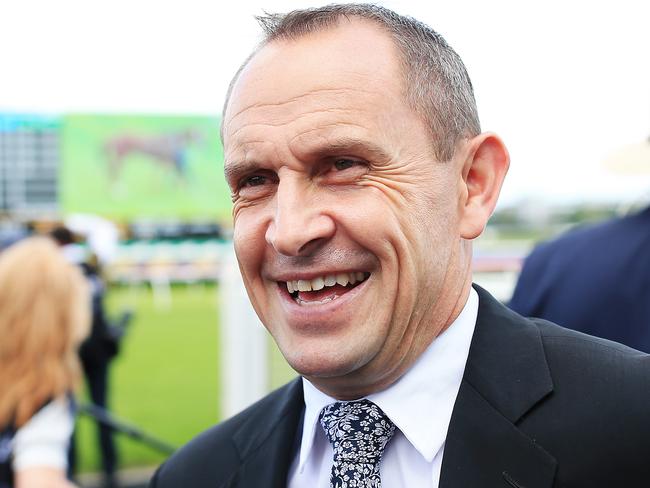 Chris Waller says Nature Strip will have two lead-up races to be primed for The Everest.